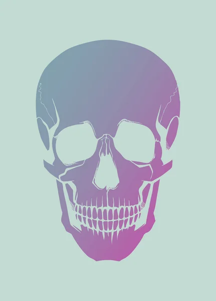 Vector Calavera obras de arte — Archivo Imágenes Vectoriales