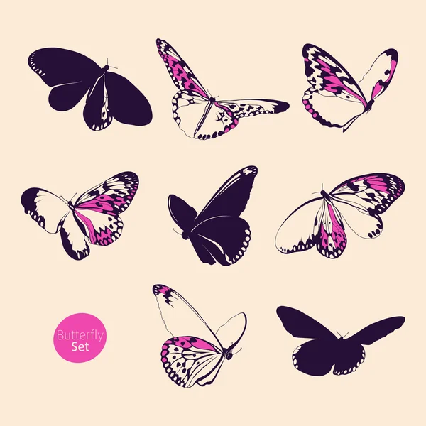 Conjunto mariposa — Vector de stock