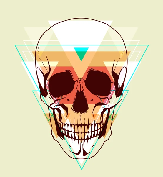 Skull. Fashion illustration — Stock Vector
