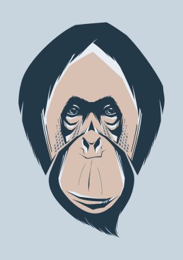 Bir maymun, bir sembol yeni yıl 2016 vektör çizim.