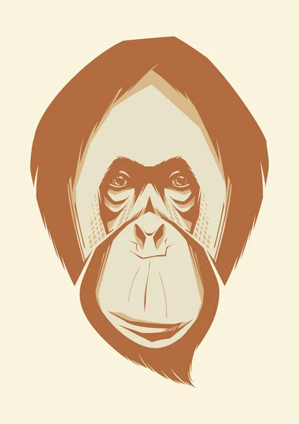 Vektor ilustrasi monyet. Orangutan - Stok Vektor