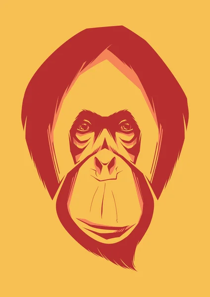 Vektor ilustrasi monyet. Orangutan - Stok Vektor