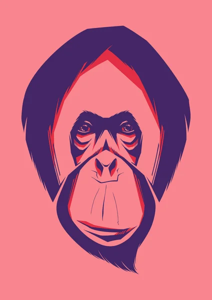 Hlavou opice. Vektorové ilustrace — Stockový vektor