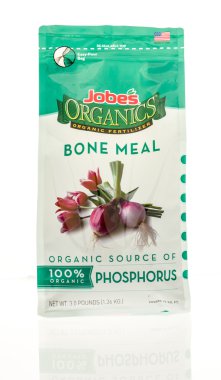 Popüler gıda bakkal dükkanında bulundu