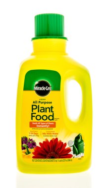 Popüler gıda bakkal dükkanında bulundu