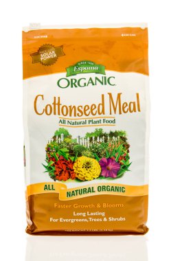 Popüler gıda bakkal dükkanında bulundu