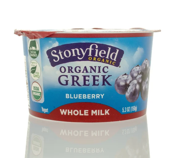 Органический греческий йогурт — стоковое фото