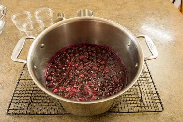 Grape jam jelly — Stock Photo, Image
