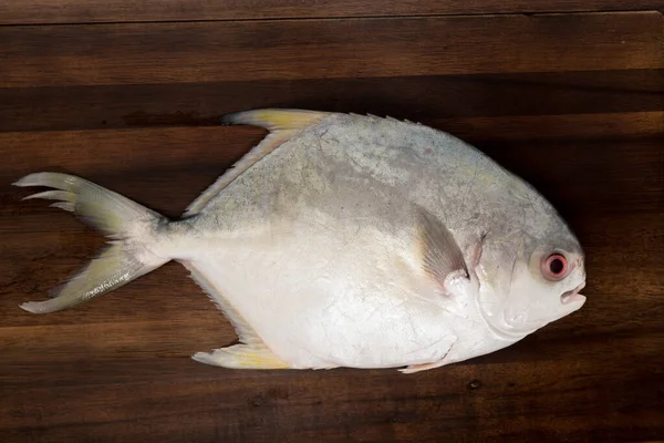Pampano Fish Isolated Dark Cutting Board — Stock Photo, Image