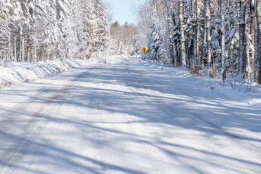 Kar küreme aracı geçtikten sonra karla kaplı bir yol ve karla kaplı ağaçlar..