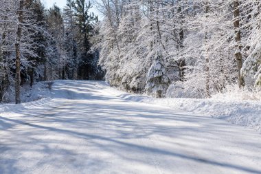 Kar küreme aracı geçtikten sonra karla kaplı bir yol ve karla kaplı ağaçlar..