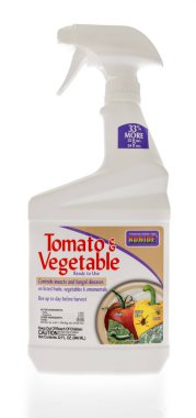 Winneconne, WI - 16 Mayıs 2021: İzole edilmiş arka planda bir şişe Bonide domates ve sebze katili