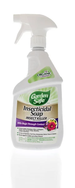 Winneconne May 2021 Bottle Garden Safe Insecticidal Soap Insect Killer — Stock Photo, Image