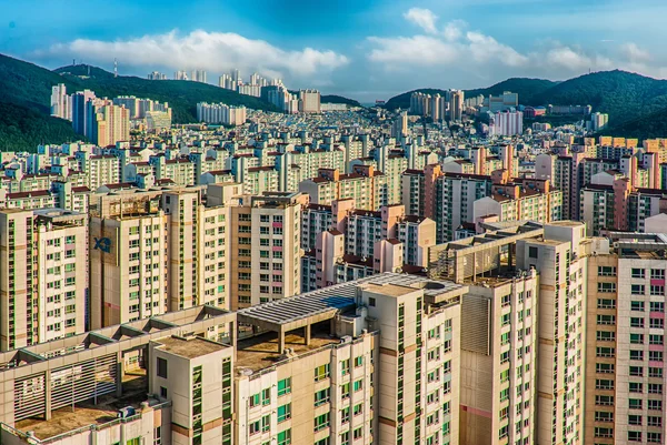 Roof tops — Stock Photo, Image