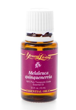 Melaleuca quinquenervia uçucu yağ takviyesi