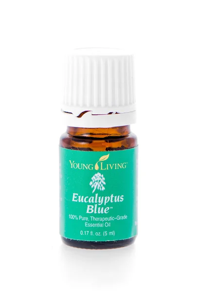 Eucalyptus blauwe etherische olie aanvulling — Stockfoto