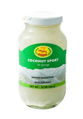 Hindistan cevizi Filiz