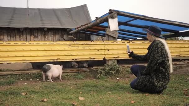 한 젊은 금발 여성이 농장에서 돼지 사진을 찍고 있다. — 비디오