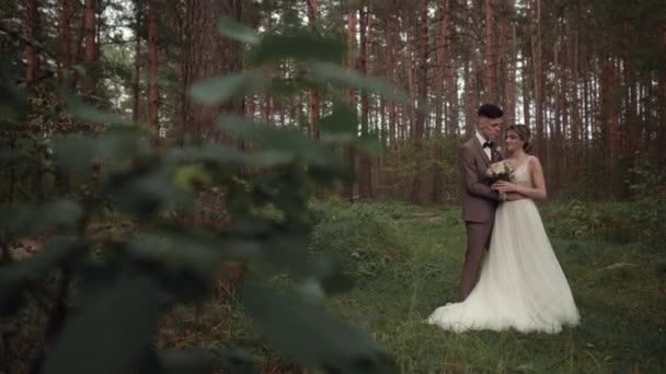 Piękna młoda para ślubna w pięknym lesie. Uściski, pocałunki i uśmiechy. Ogólny plan pary weselnej w lesie. Widok zza drzew z liśćmi na pierwszym planie — Wideo stockowe