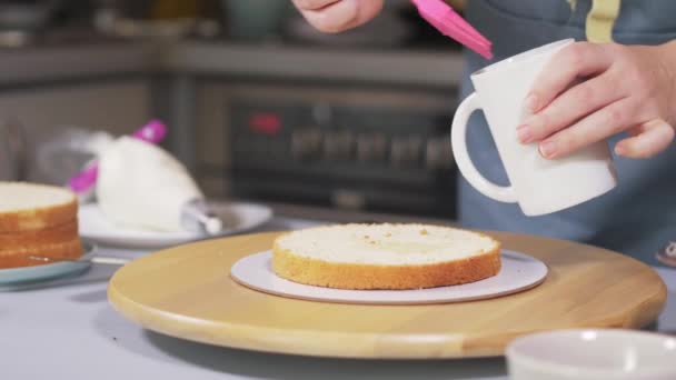 El chef de pastelería aplica la impregnación para los bizcochos de la torta — Vídeos de Stock