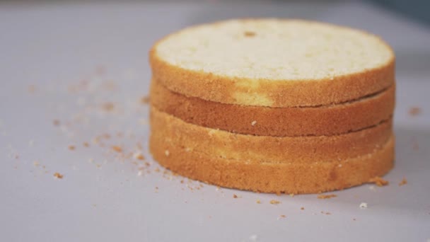 De banketbakker demonstreert de keurig gesneden lagen sponscake voor de taart — Stockvideo