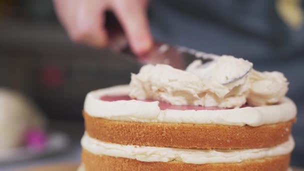 ケーキの組み立て中にスポンジケーキにクリームを適用します。. — ストック動画