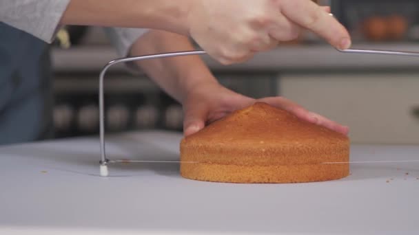 Pastelero utiliza un cortador especial para cortar el pastel horneado en capas uniformes. — Vídeos de Stock