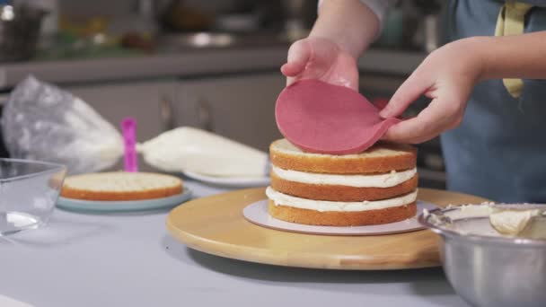 De banketbakker bereidt de taart, legt de bessenlaag tussen de koekjes. — Stockvideo