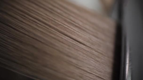 Proces prostowania włosów w salonie przy pomocy parowca. — Wideo stockowe