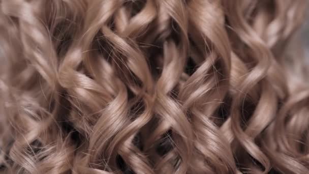 Sprężyste fale loków na głowie blondynki. Kosmyk włosów to źródło. — Wideo stockowe