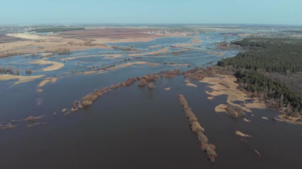Kameran flyger högt över fältet där floden svämmade över på våren — Stockvideo