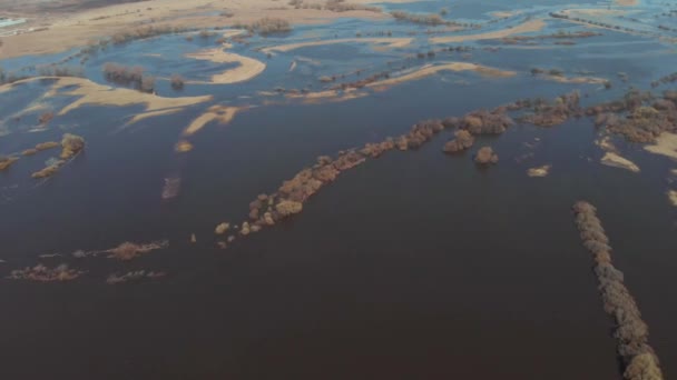 Die Kamera fliegt hoch über das Feld, auf dem der Fluss im Frühjahr über die Ufer getreten ist — Stockvideo