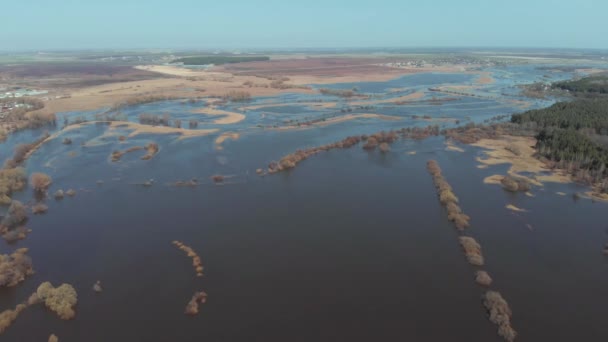 The camera flies high above the field where the river overflowed in the spring — Stock Video