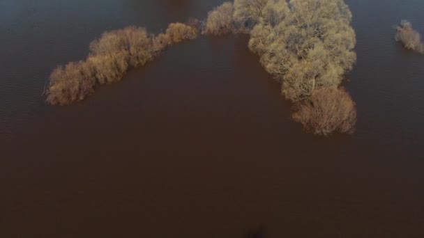 La telecamera vola bassa sopra l'acqua durante un'alluvione. — Video Stock