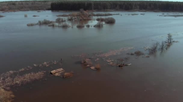 On a sunny spring day, the camera flies fast over a flooded area of the field — Stock Video