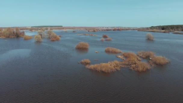 W słoneczny wiosenny dzień kamera szybko przelatuje nad zalanym obszarem pola. — Wideo stockowe