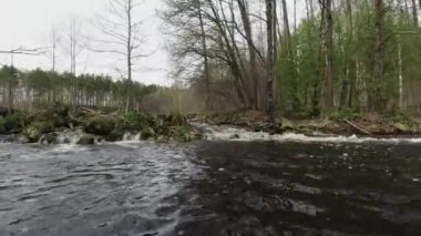 Kanodan orman nehrindeki küçük akıntıya kadar olan manzara..