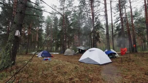 Ogólny widok na obóz namiotowy w lesie iglastym w pochmurną pogodę. — Wideo stockowe