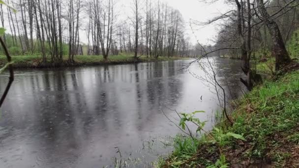 Udsigt over skovfloden fra kysten under regnen. – Stock-video