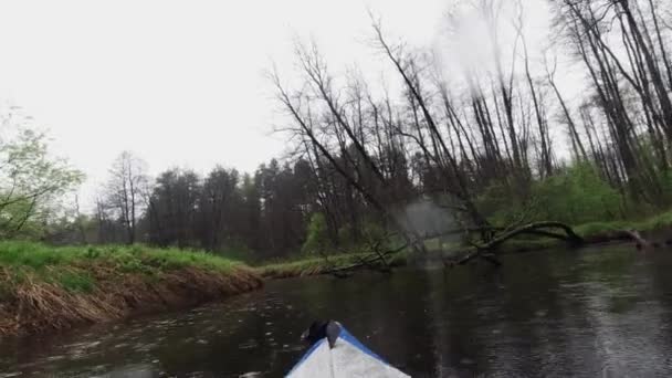 Vista dalla prua di un kayak mentre fai rafting su un fiume della foresta sotto la pioggia. — Video Stock