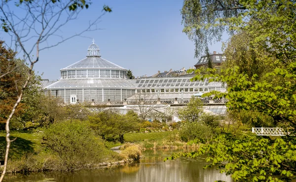 Jardins botaniques à Copenhague — Photo