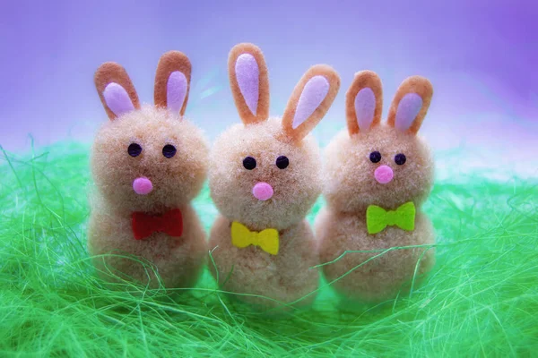 Easter Bunnies Green Grass — Stock Photo, Image