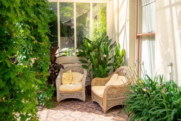 House patio with wicker chairs and green plants — Stock Photo, Image