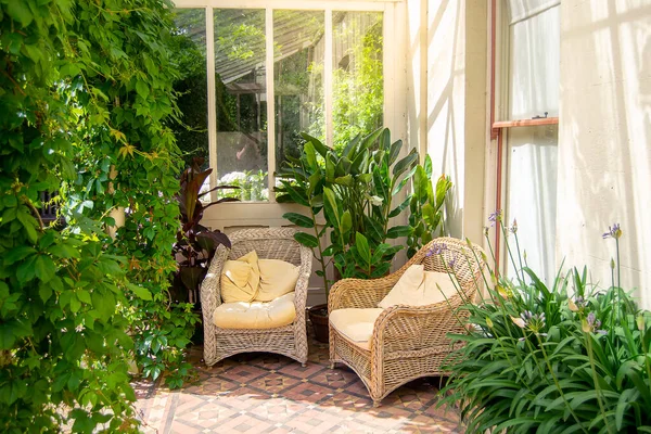 有柳条椅子和绿色植物的家庭庭院 图库图片