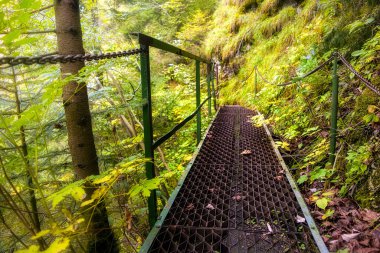 Slovakya 'daki Slovakya cennetinde macera izleri.