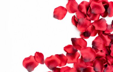 Beyaz arka planda güzel kırmızı yapraklar