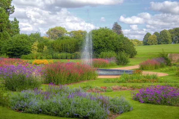 Garden — Stock Photo, Image