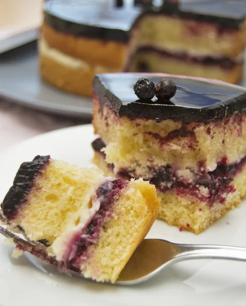 Pastel de grosella negra — Foto de Stock