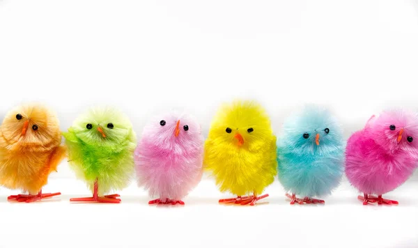 Colorful easter chicks — Stock Photo, Image