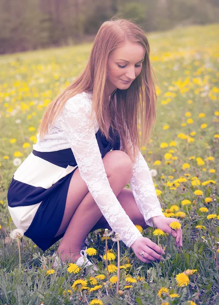 Hübsches Mädchen auf einem Blumenfeld — Stockfoto